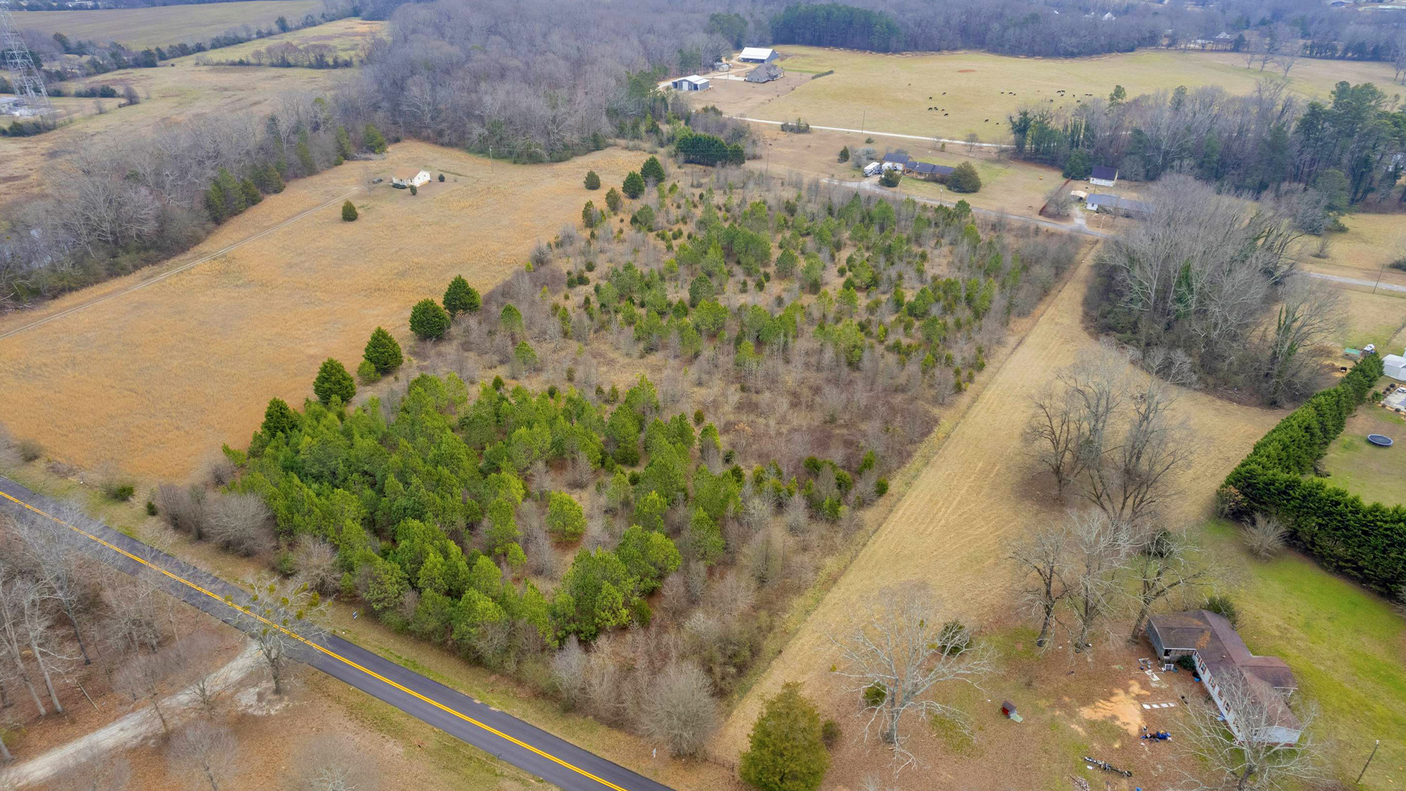 Seizing Opportunity- Land Lots in Lavonia, GA – A Builder’s Dream for Growth